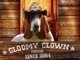 Gloomy Clown basset hound